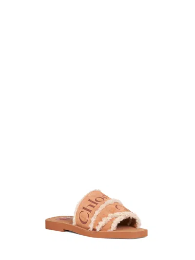 Chloé Women Softy Brown Suede Woody Mules In Multi