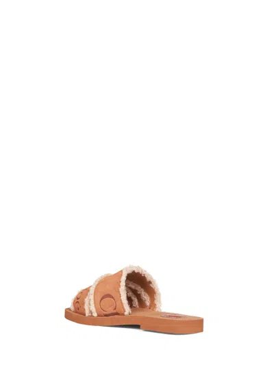 Chloé Women Softy Brown Suede Woody Mules In Multi