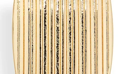 Cara Two-tone Statement Drop Earrings In Multi