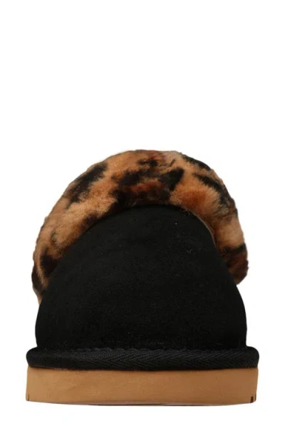 Mykos Genuine Shearling Suede Slipper In Multi