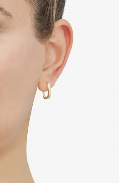 Frankie & Zoe 14k Yellow Gold Oval Huggie Hoop Earrings In Gold