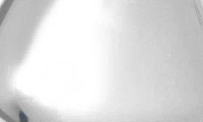 Bottega Veneta Small Vahuo Fin Earrings In Metallic