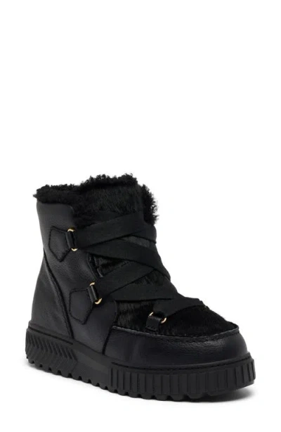 Sorel One Ave™ Alpine Genuine Shearling Waterproof Boot In Black