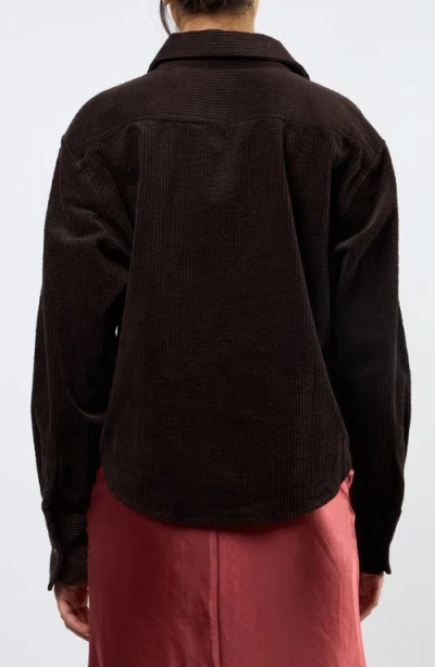 Viens Avec Moi The Odyssey Crop Corduroy Shirt In Brown