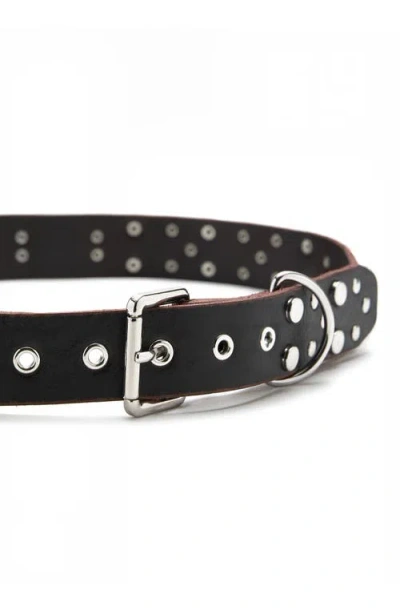 Mango Studded Leather Belt In Black