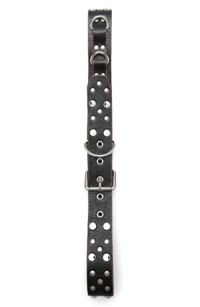 Mango Studded Leather Belt In Black