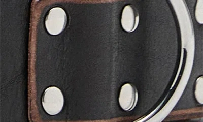 Mango Studded Leather Belt In Black