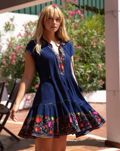 Change Of Scenery Gari Dress In Blue