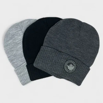 Canada Weather Gear Boys' 3-pack Beanies In Gray