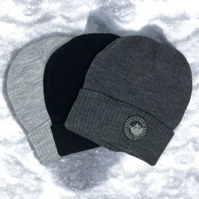 Canada Weather Gear Boys' 3-pack Beanies In Gray
