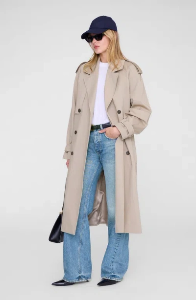 Anine Bing Jeremy Baseball Cap In Blue