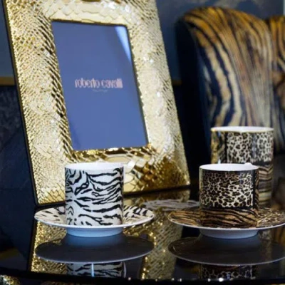 Cavalli Coffee Cup & Saucer With Luxury Box In Multi