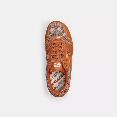 Coach Soho Crystal Signature Jacquard Cocoa Burnished Amber Trainers S In Brown