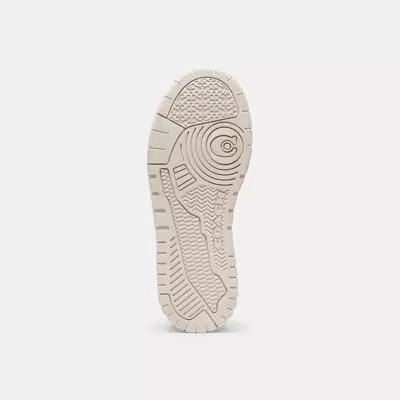 Coach Soho Crystal Signature Jacquard Cocoa Burnished Amber Trainers S In Brown