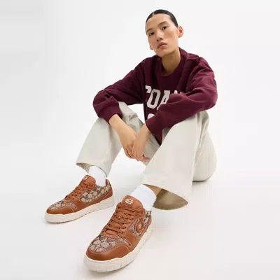 Coach Soho Crystal Signature Jacquard Cocoa Burnished Amber Trainers S In Brown