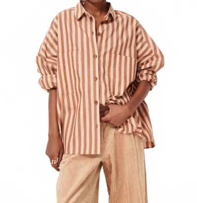 Sessun Fontania Long Sleeve Stripe Shirt In Brown In Brown