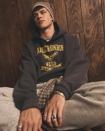 Abercrombie & Fitch Logo Popover Hoodie In Gray