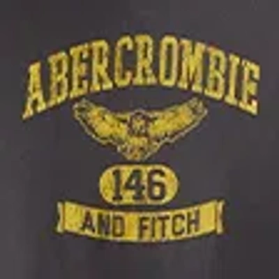 Abercrombie & Fitch Logo Popover Hoodie In Gray