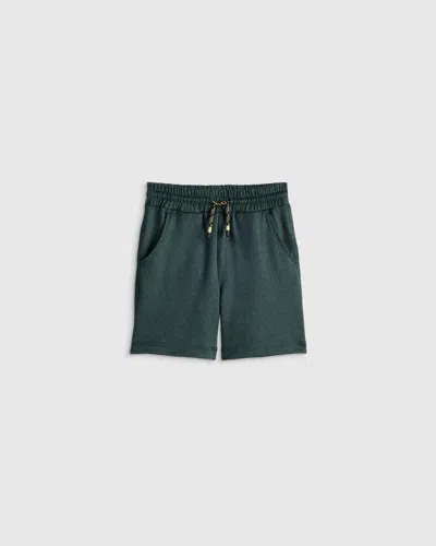 Quince Flowknit Performance Short In Green