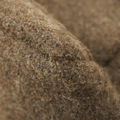 Pre-owned Chanel Brown Wool Shoulder Bag ()