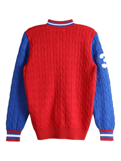Polo Ralph Lauren Boys 8-20 Big Pony Cable-knit Sweater In Multi