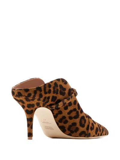 Malone Souliers Leopard Strap Mules In Animal Print