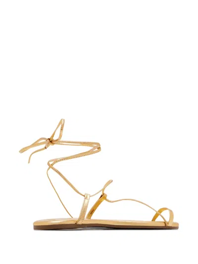 Tkees Toe Strap Tie Sandals In Gold