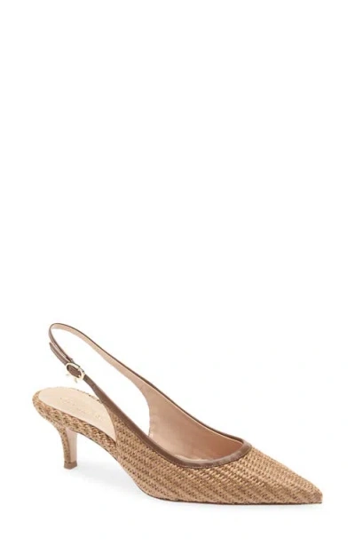 Gianvito Rossi Pointed Toe Slingback Pump In Brown