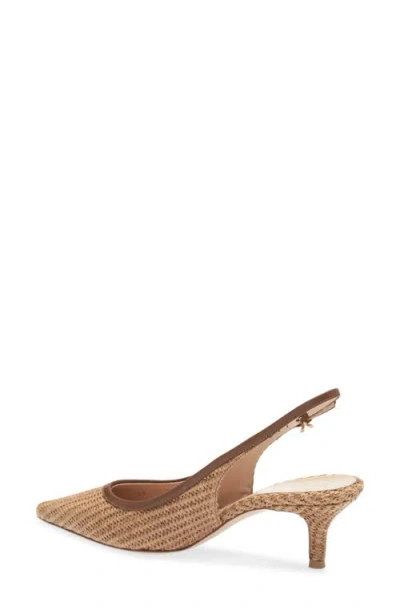 Gianvito Rossi Pointed Toe Slingback Pump In Brown