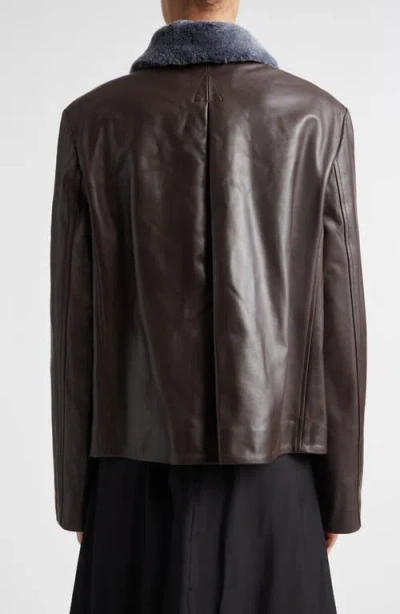 Marni Leather Jacket With Genuine Shearling Collar In Brown