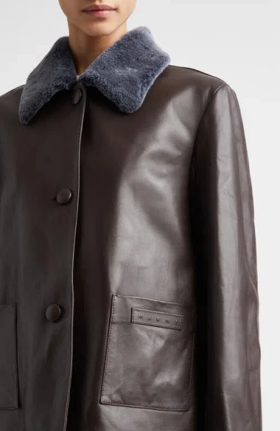 Marni Leather Jacket With Genuine Shearling Collar In Brown