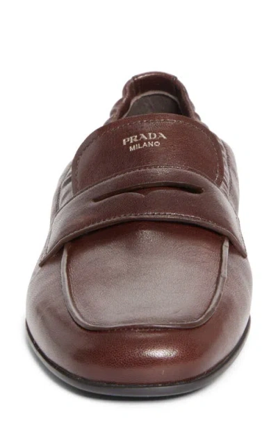 Prada Soft Penny Loafer In Brown