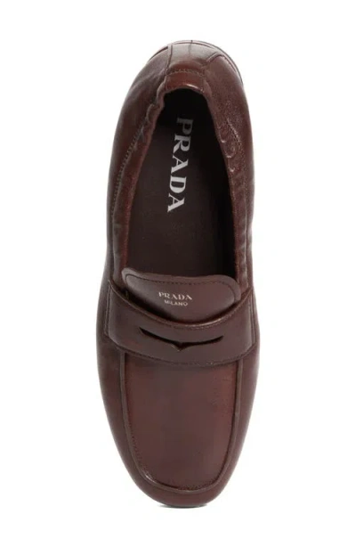 Prada Soft Penny Loafer In Brown