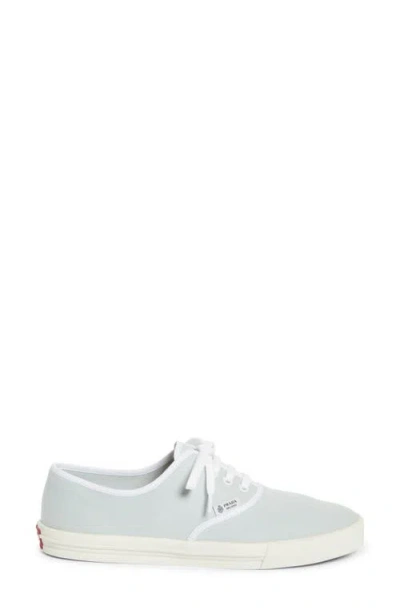 Prada Canvas Low Top Sneaker In Blue