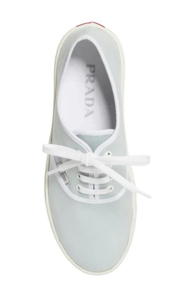 Prada Canvas Low Top Sneaker In Blue