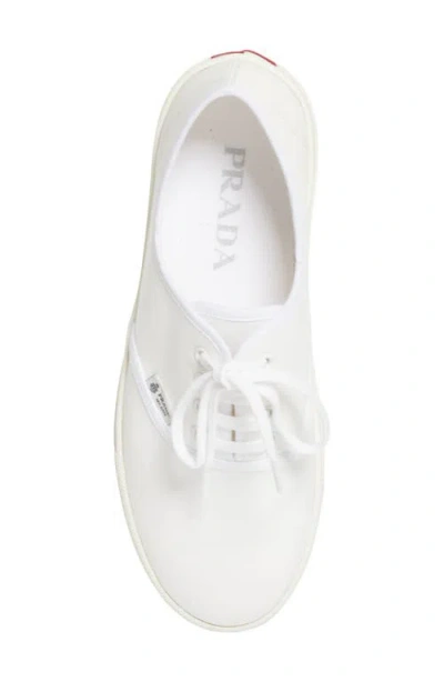 Prada Canvas Low Top Sneaker In White