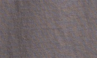 Junk Food Unbothered Kitten Graphic T-shirt In Gray