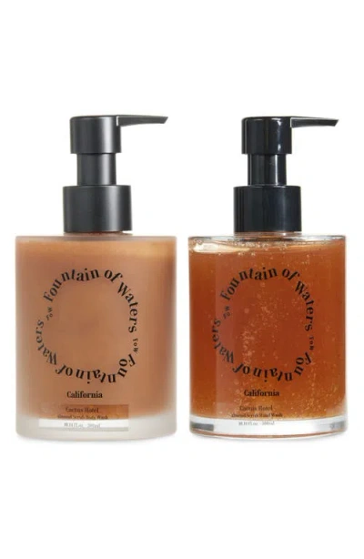 Fountain Of Waters Cactus Hotel Scrub Care 2-piece Gift Set In Brown