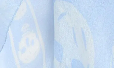 Alexander Mcqueen Mcqueen Skull Print Silk Scarf In Blue