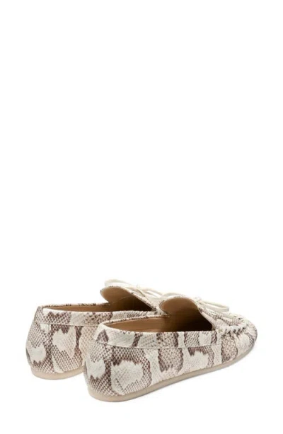 Stuart Weitzman Britt Bow Loafer In Multi