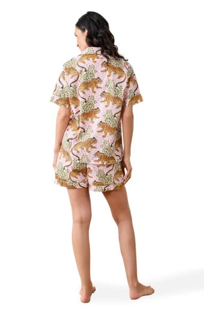 Printfresh Short Pj Set In Brown