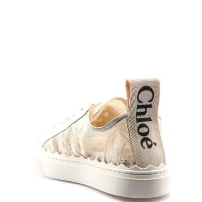 Chloé Chloe Lauren Low Top Lace Up Sneakers In Brown