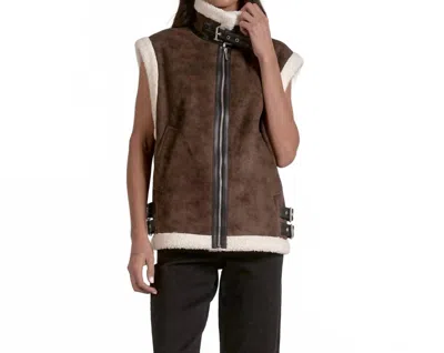 Elan Juneau Plush Faux Shearling Vest In Brown In Brown