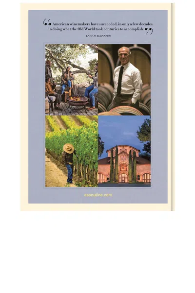 Assouline Wine & Travel Usa In Transparent