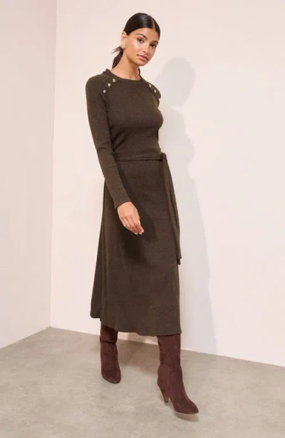 Friends Like These Long Sleeve Sweater Dress In Brown