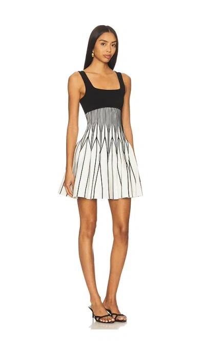 Simkhai Cynder Mini Dress In Multi