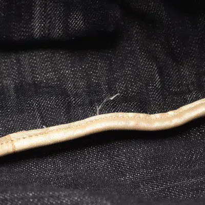 Pre-owned Chanel Navy Denim Tote Bag () In Blue