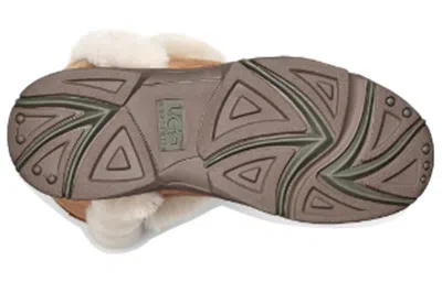 Ugg (wmns)  Sunburst Tall White Brown