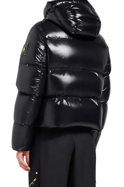 Moose Knuckles Coats In Black