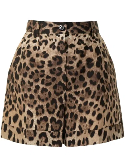 Dolce & Gabbana High Waist Leopard Stretch Drill Shorts In Animal Print